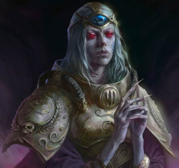 Navigateur de la Navis Nobilite